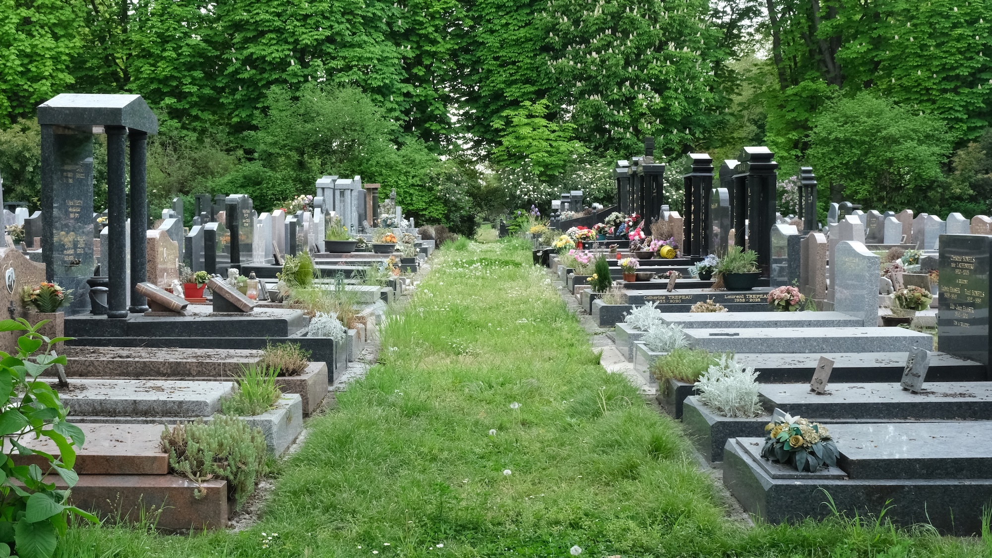 Une exposition s'installe dans le plus grand cimetière de France aux portes de Paris 27206-639141022760788582