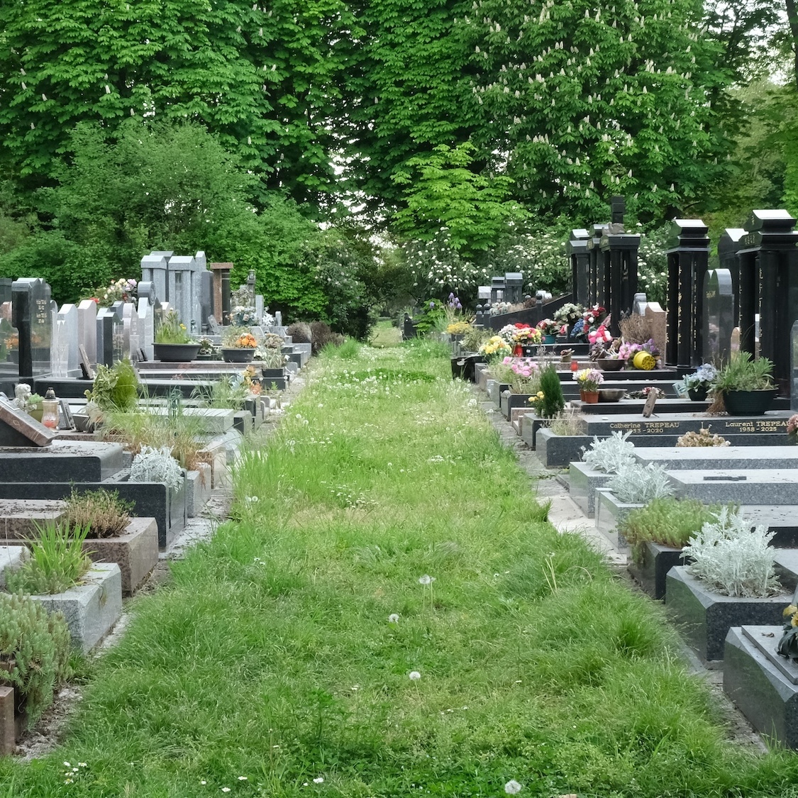 Une exposition s'installe dans le plus grand cimetière de France aux portes de Paris 27206-639141022760788582