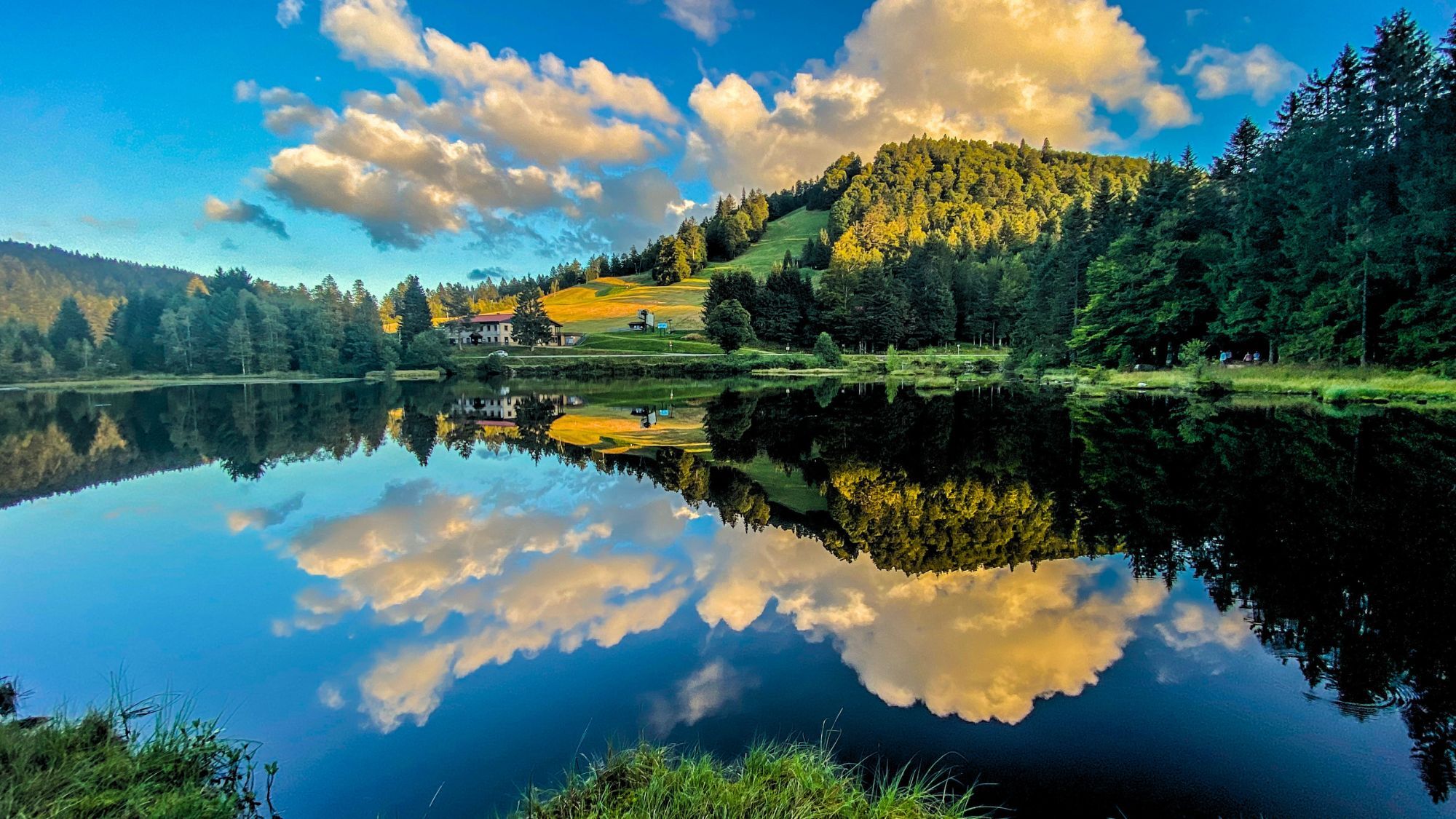 À 1h30 de Strasbourg, ce lac sorti d'une forêt boréale donne l'impression d'être au Canada lac-de-lispach-strasbourg