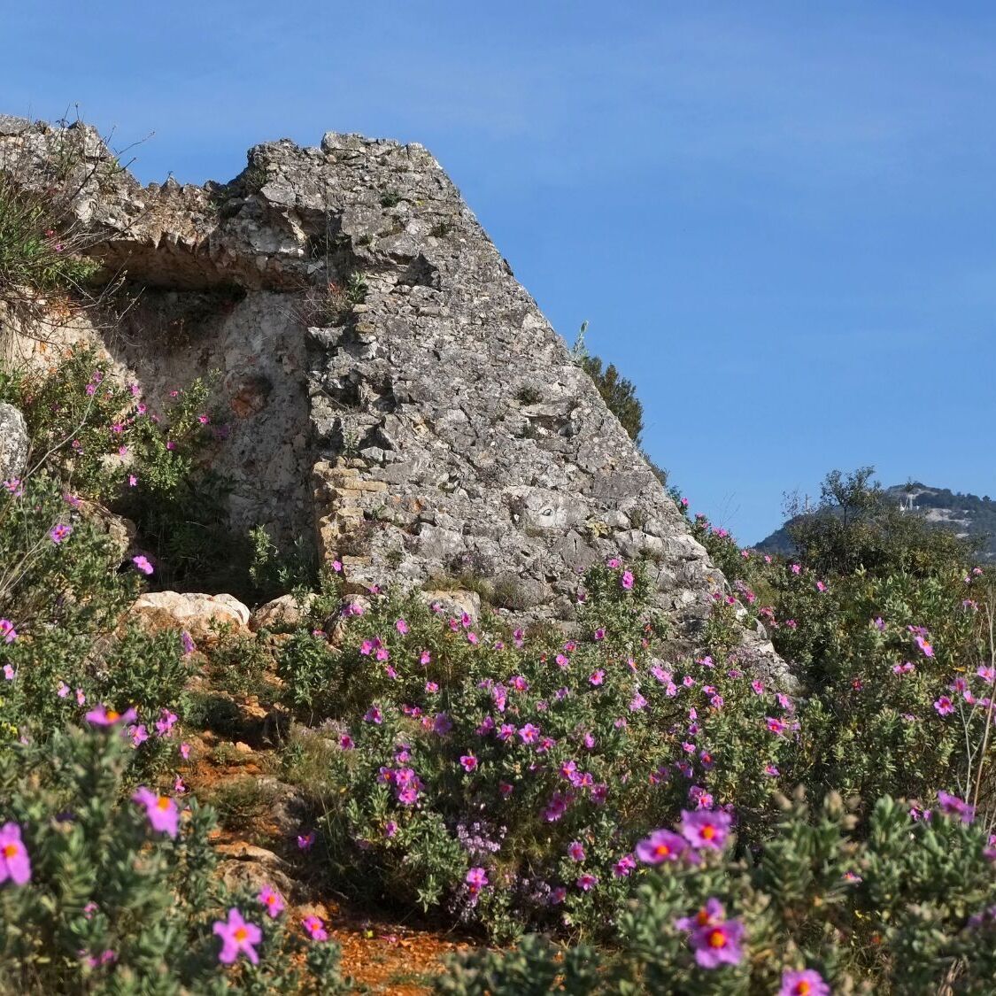 pyramide-falicon-nice