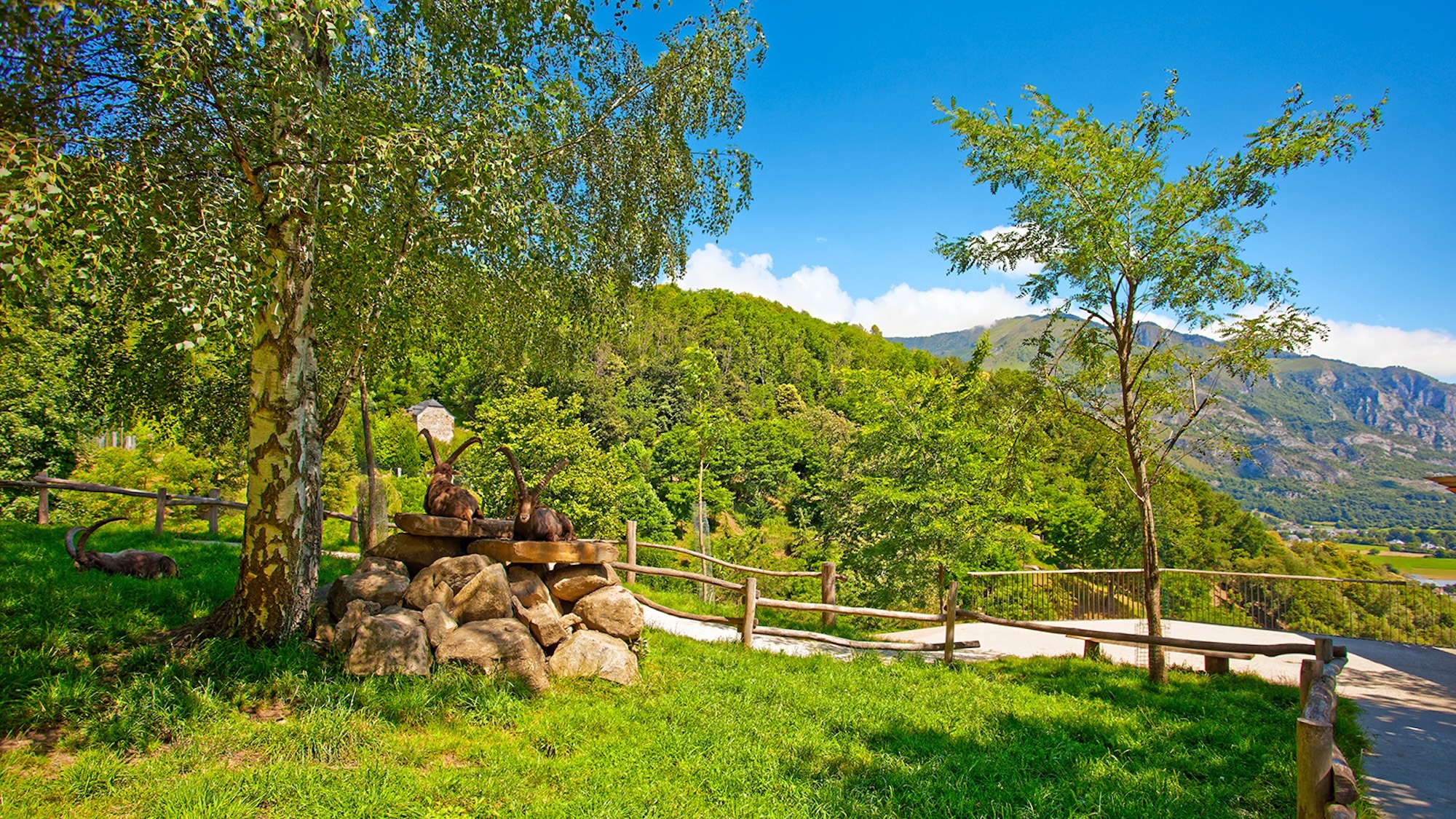 parc-animalier-pyrenees