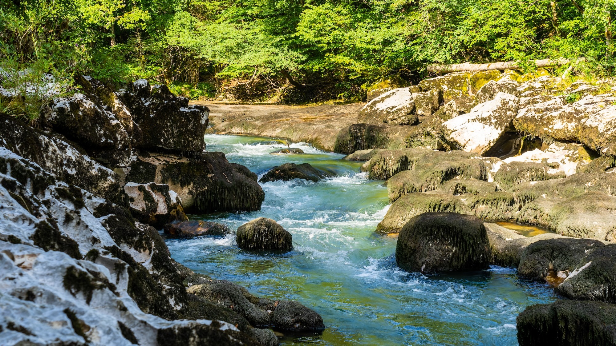a-1h30-lyon-canyon-spectaculaire-cascades-labyrint