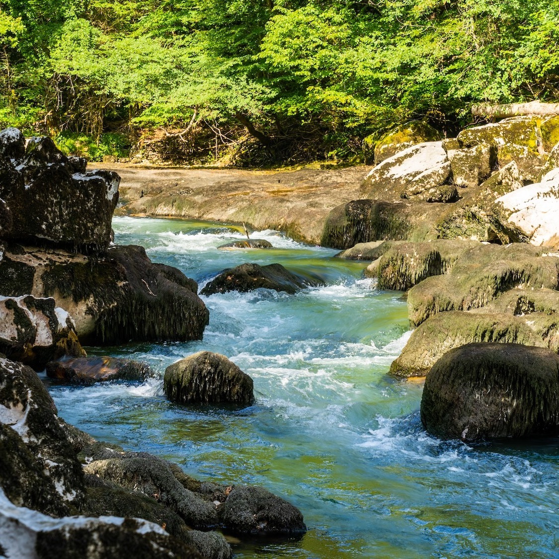 a-1h30-lyon-canyon-spectaculaire-cascades-labyrint