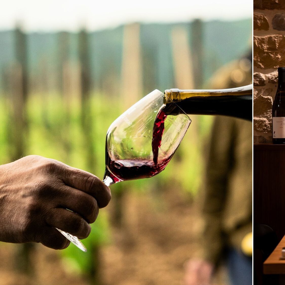 grands-vins-saint-joseph-nantes-festin-degustation
