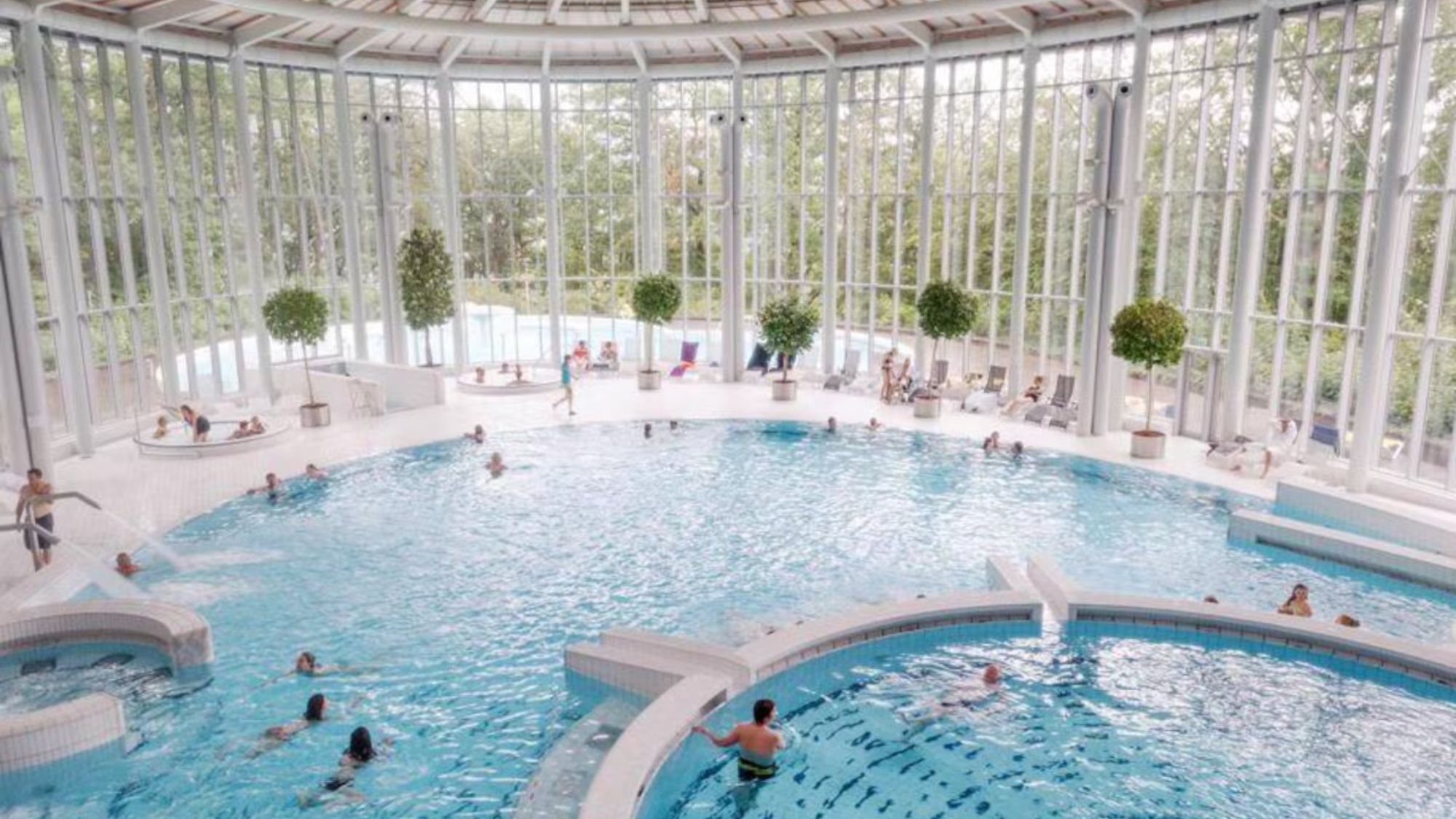 piscine-vitres-vert