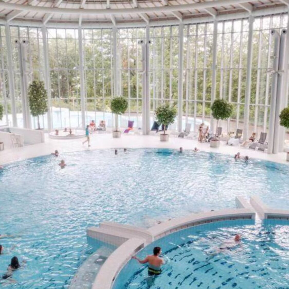 piscine-vitres-vert