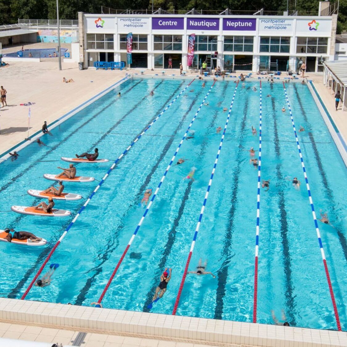 piscine-bassiin-olympique-neptune-ouvetture-montpe