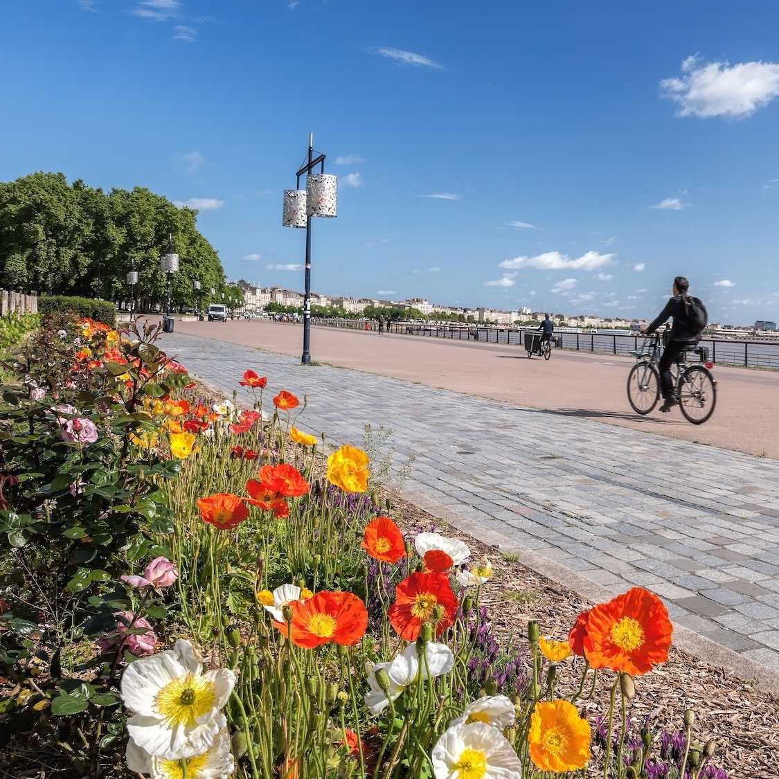 bordeaux-ville-verte