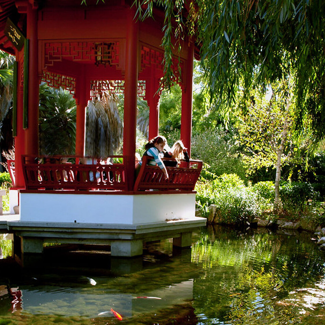 jardin-japonais-parc-marseille-fete-automne