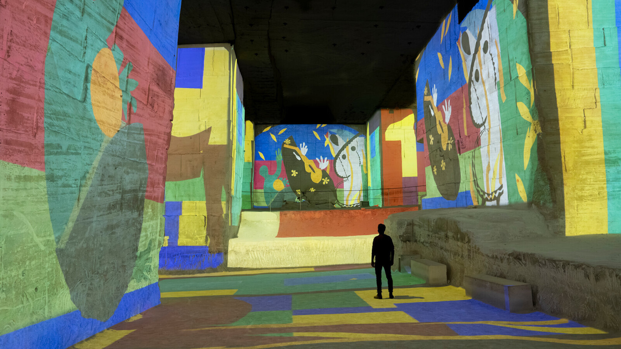 matisse-la-symphonie-des-couleurs-culturespaces-vi