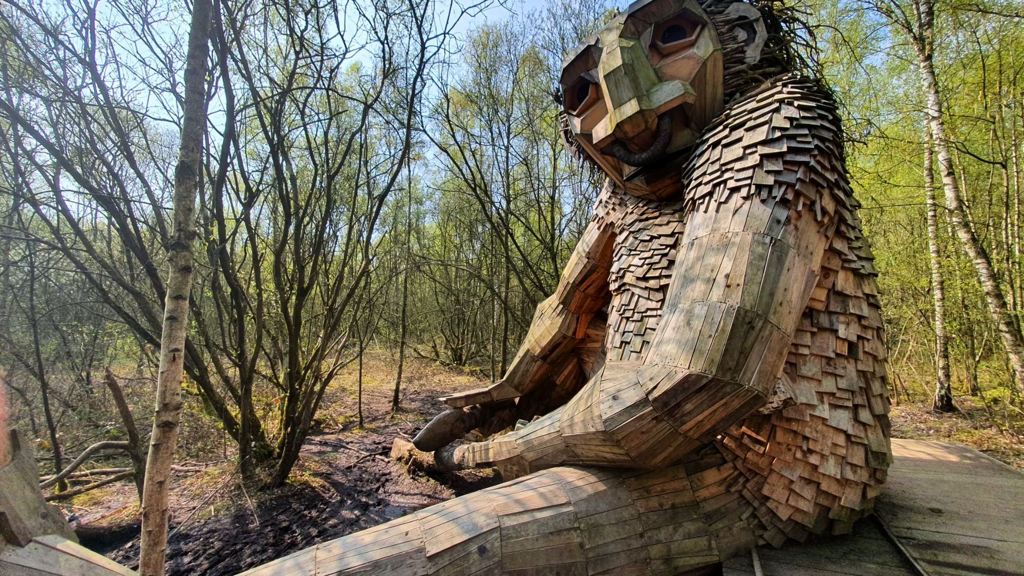 À 1h30 de Lille, cette balade insolite vous emmène à la recherche de trolls géants cachés dans la forêt foret-troll-bois