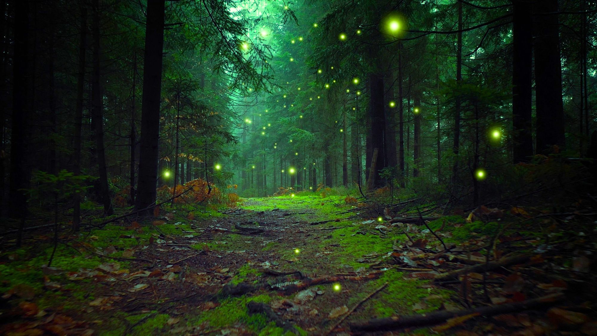 Une forêt magique envahie par les monstres et des énigmes débarque près de Toulouse foret-magique-toulouse-halloween