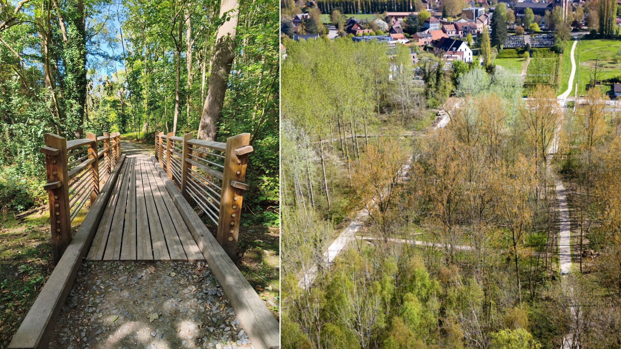 pont-foret-arbres