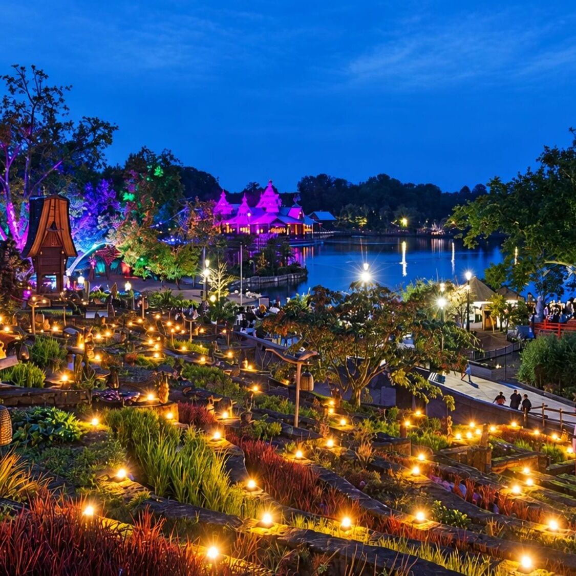 parc-lumieres-lac-arbres