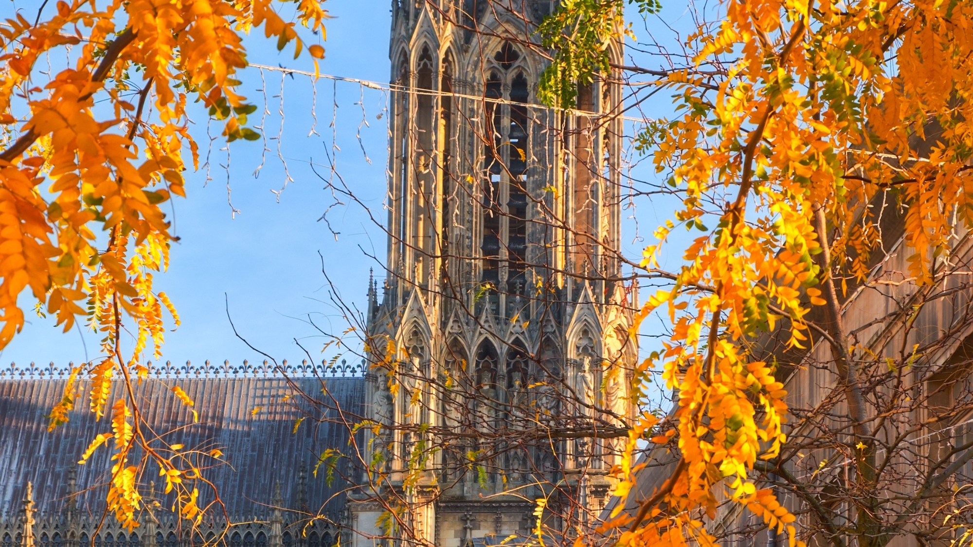 automne-activites-sorties-reims