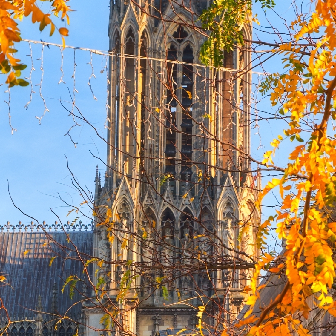 automne-activites-sorties-reims