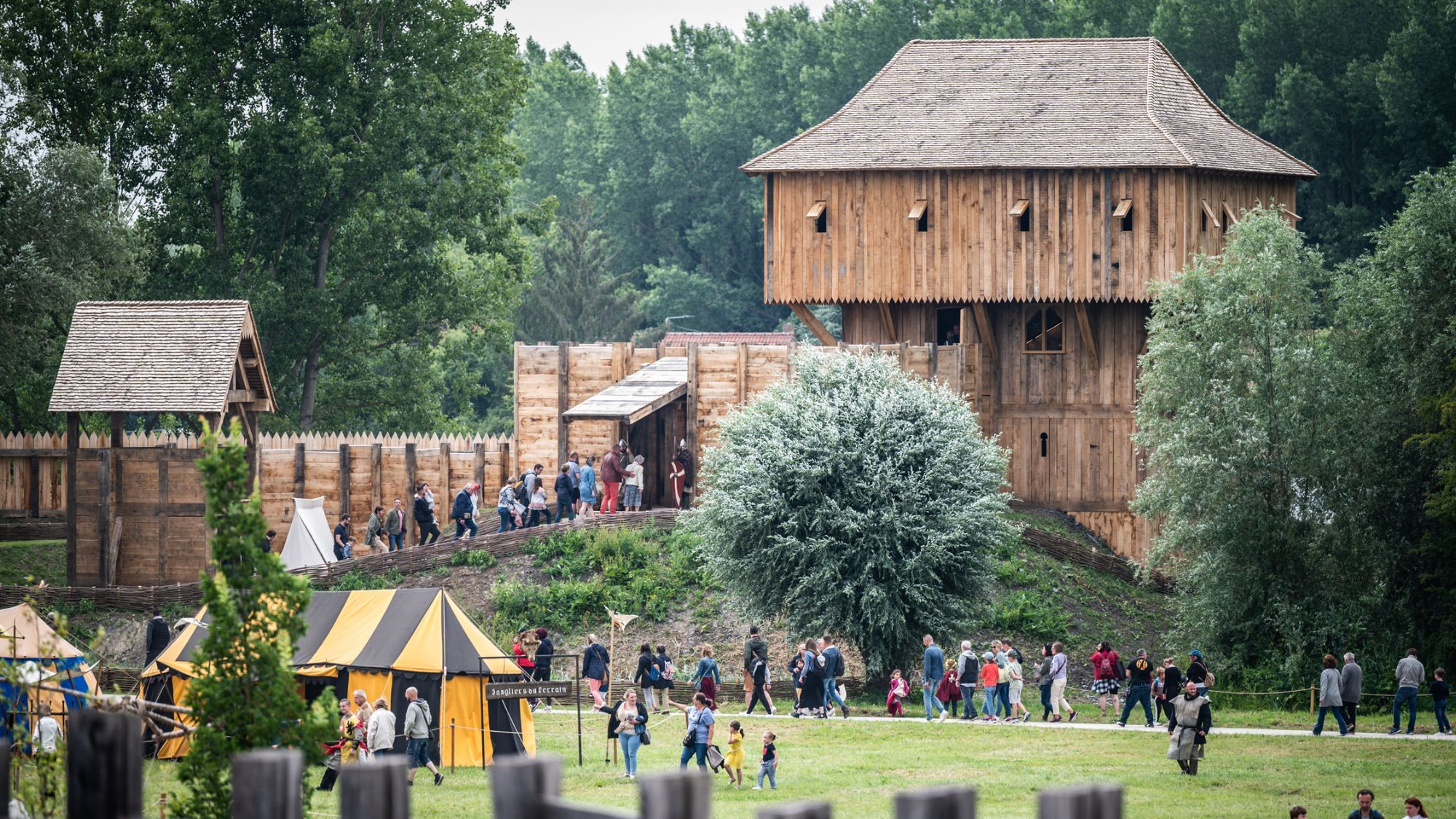 Just 40 minutes from Lille, an entire medieval town is about to transform into a giant pirate's lair cite-medievale-bois-arbres