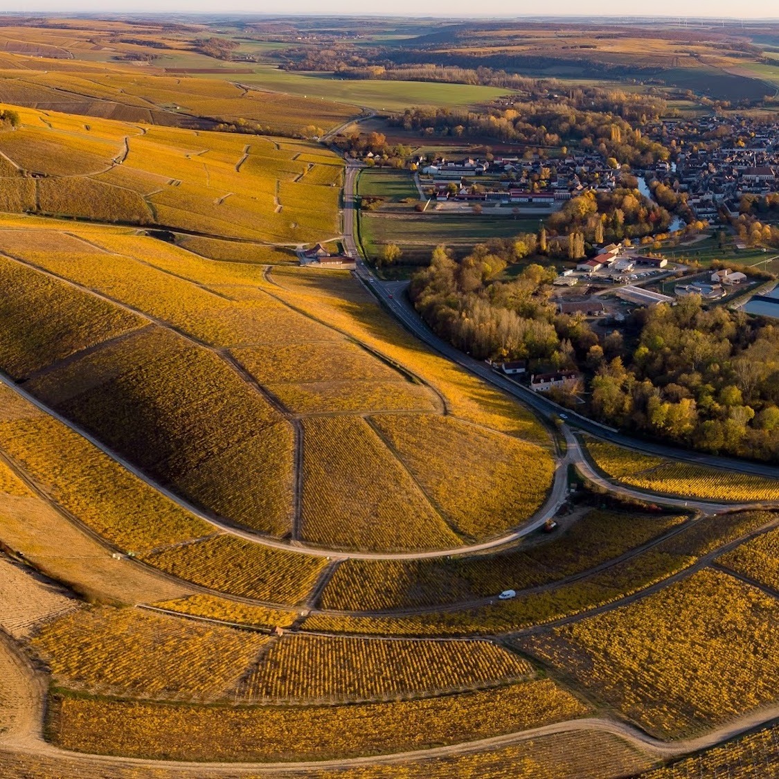 4 raisons de découvrir Chablis, Tonnerre et leurs environs ! adobestock-463117113