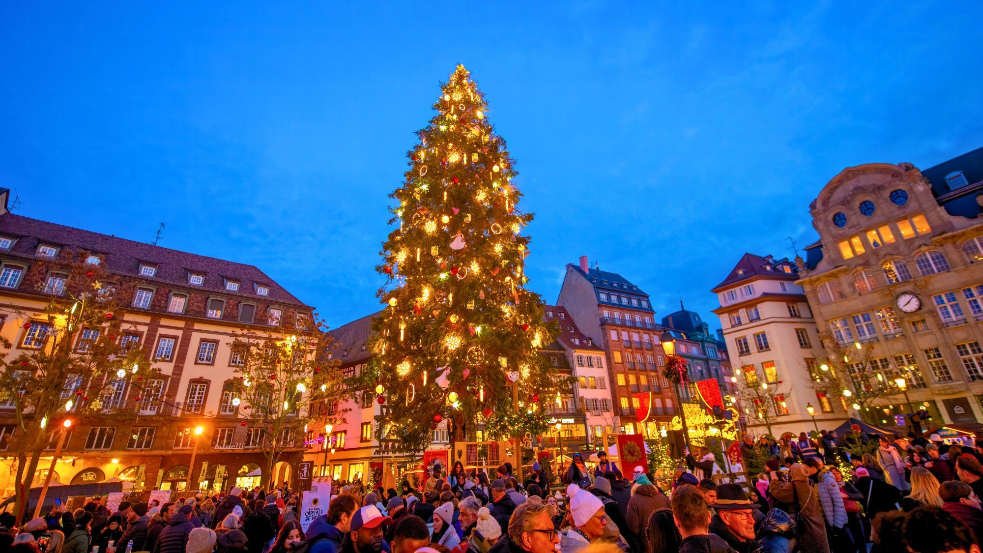 Strasbourg : on connaît enfin la date d’installation du Grand Sapin de Noël place Kléber ! sapin-place-kebler-strasbourg