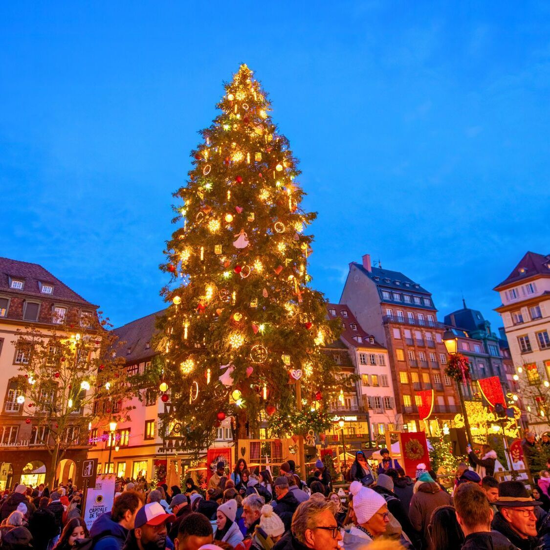 sapin-place-kebler-strasbourg