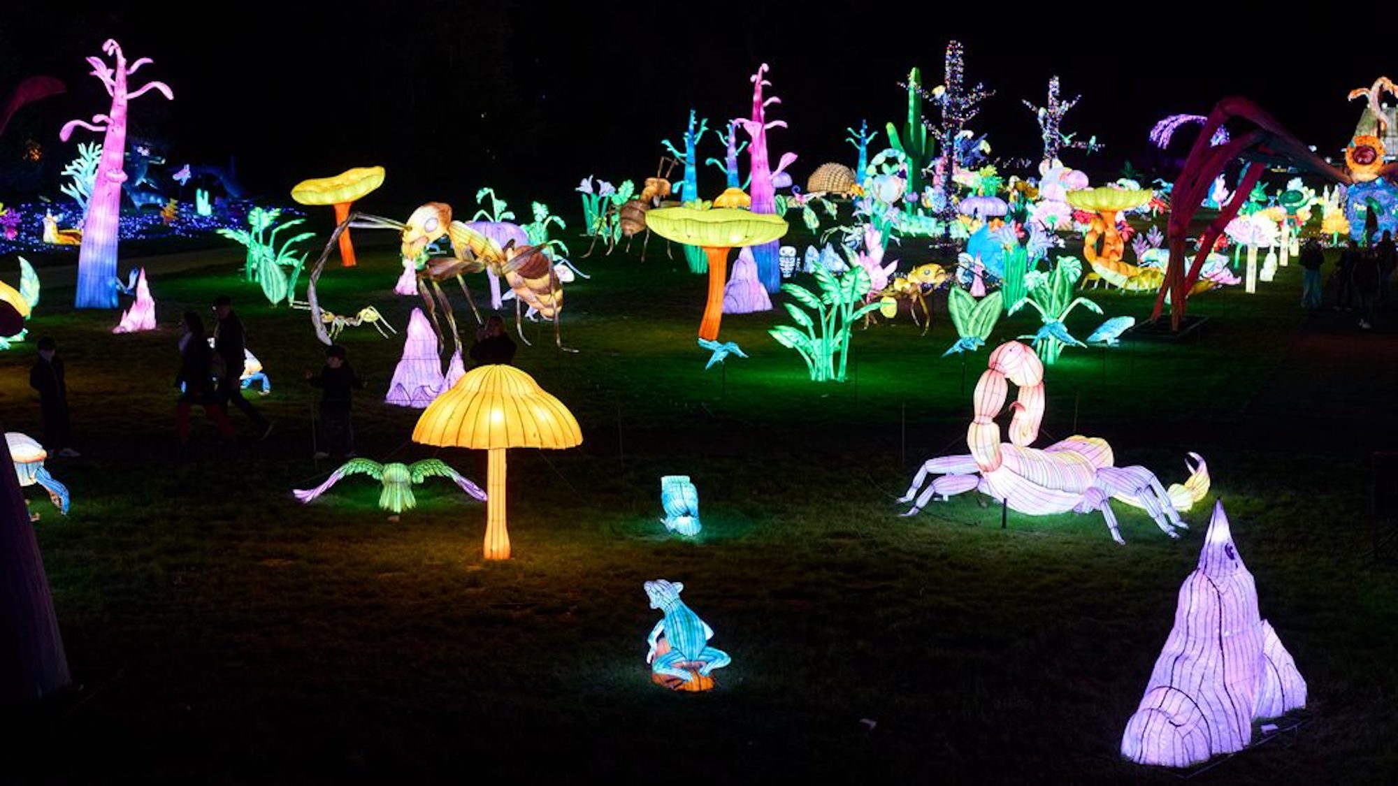 Le plus grand parcours lumineux de la région rouvre ses portes ce week-end ! illuminations-2025-0078-1024x683