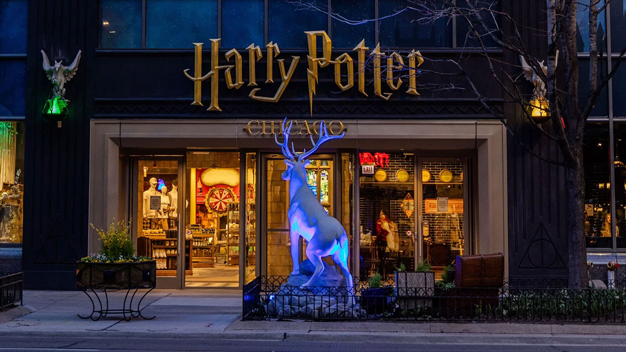 harry-potter-boutique-aix-en-provence