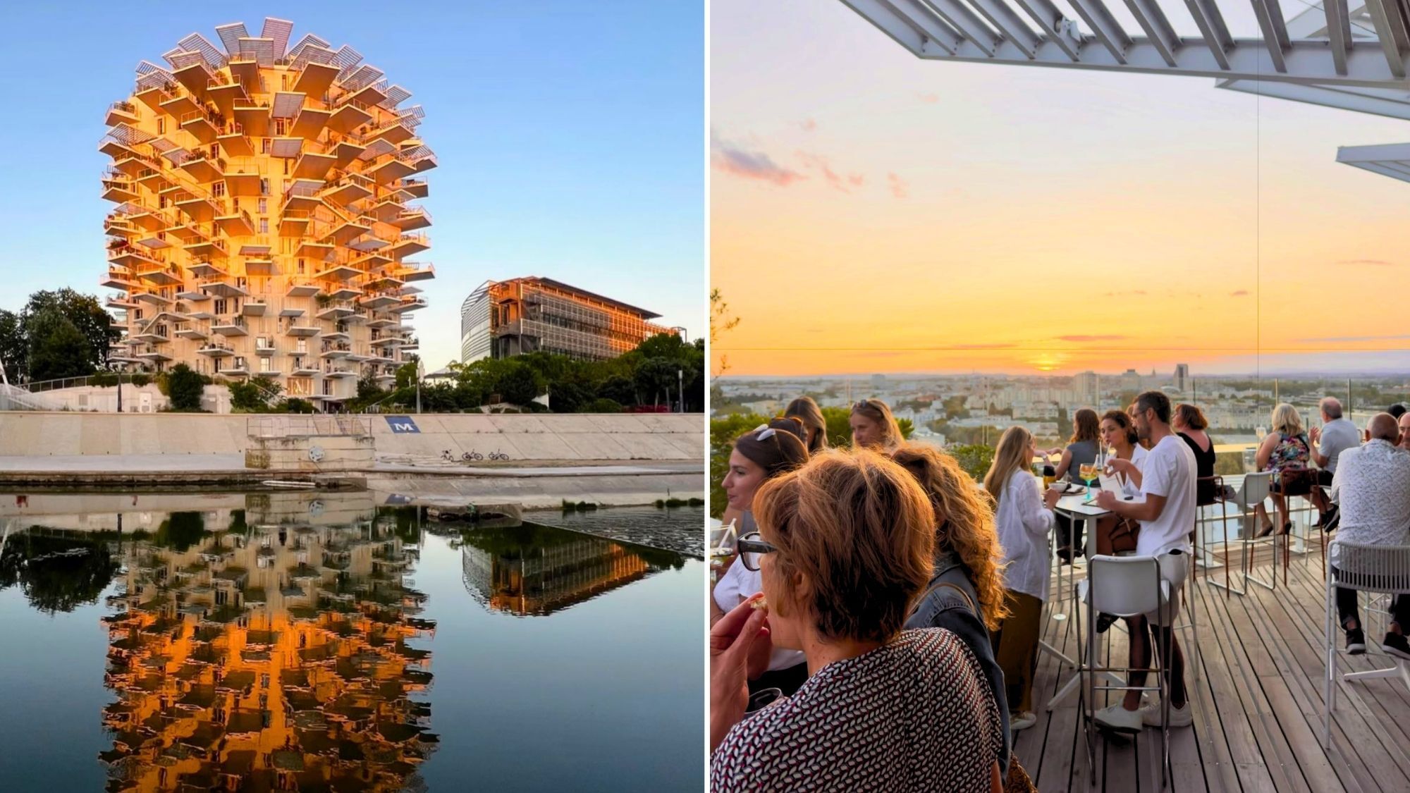 Ce célèbre restaurant avec rooftop de Montpellier ferme définitivement ses portes l-abre-blanc-restaurant-rooftop-fermeture-definiti