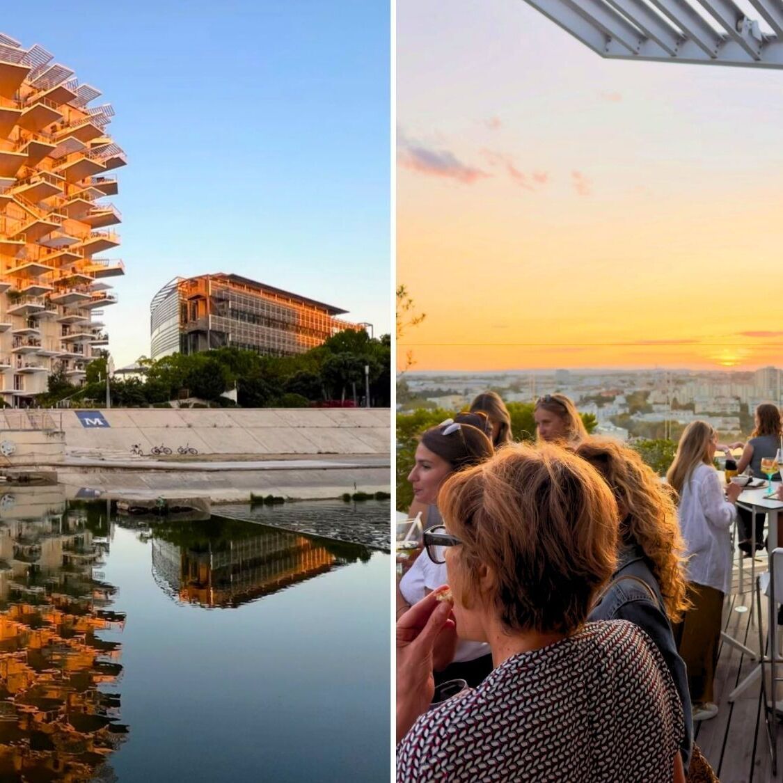l-abre-blanc-restaurant-rooftop-fermeture-definiti