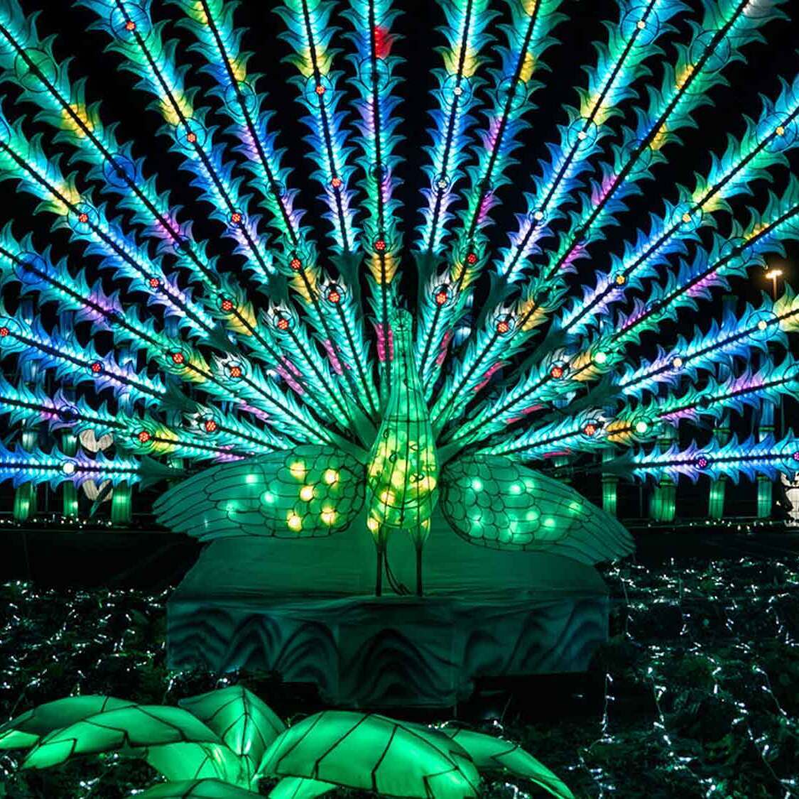 festival-lumieres-barben-marseille