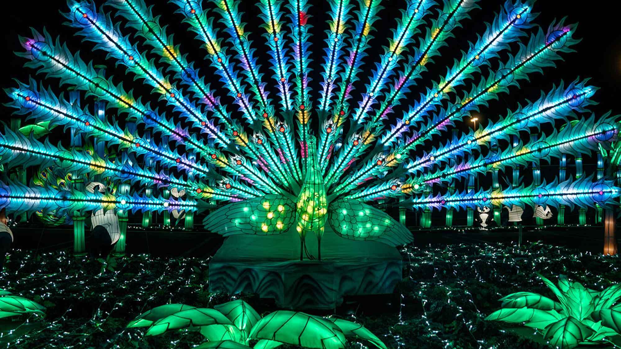 Des lanternes lumineuses géantes transforment ce parc à 1h de Marseille en balade féérique festival-lumieres-barben-marseille
