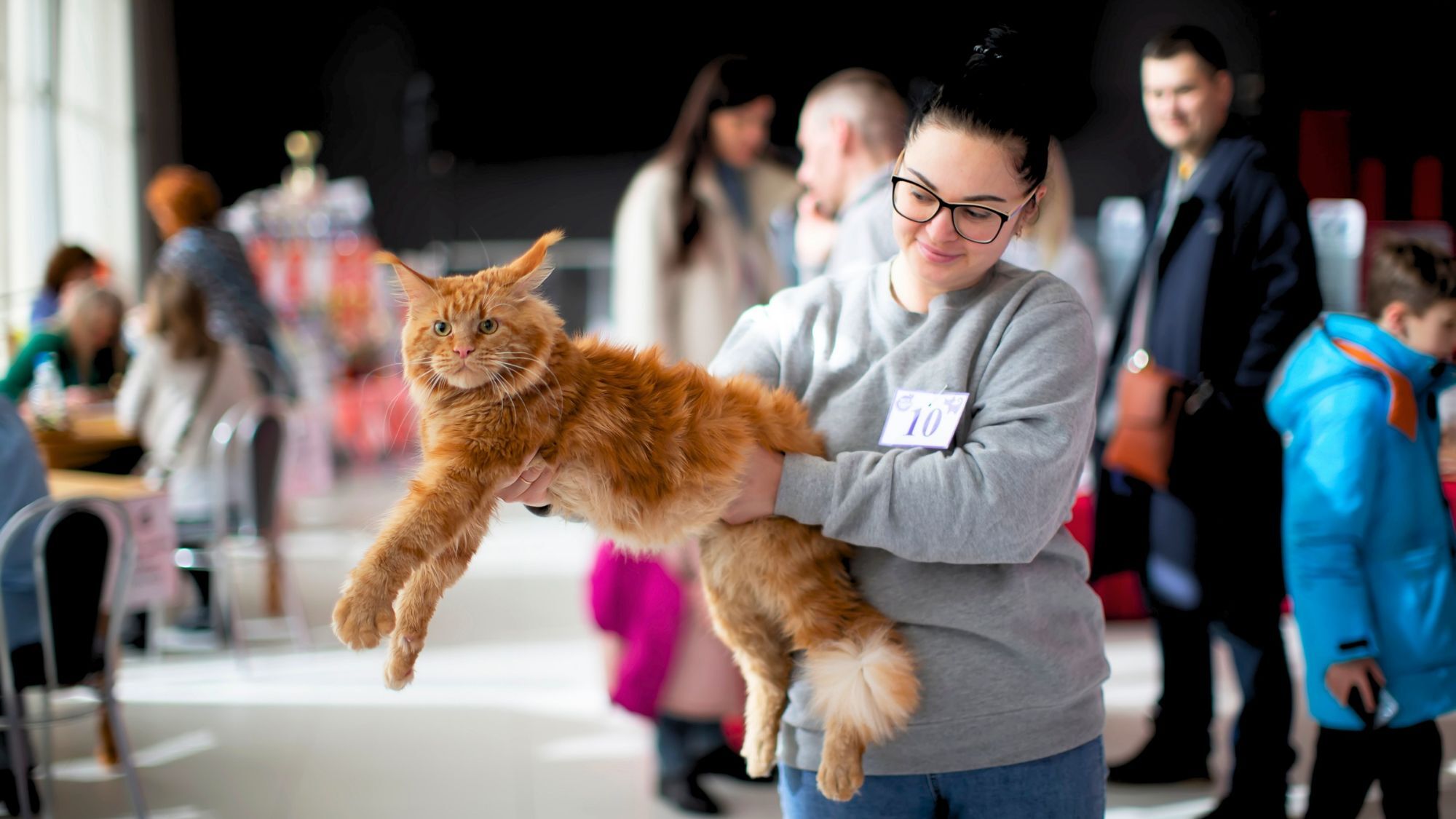 exposition-feline-geneve-400-chats-suisse