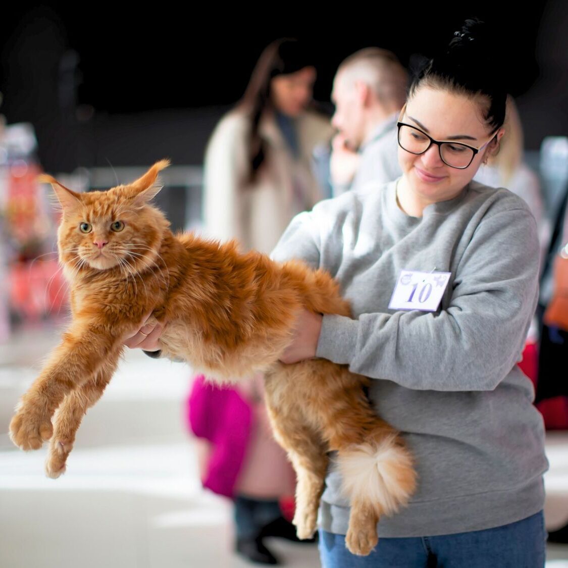 exposition-feline-geneve-400-chats-suisse