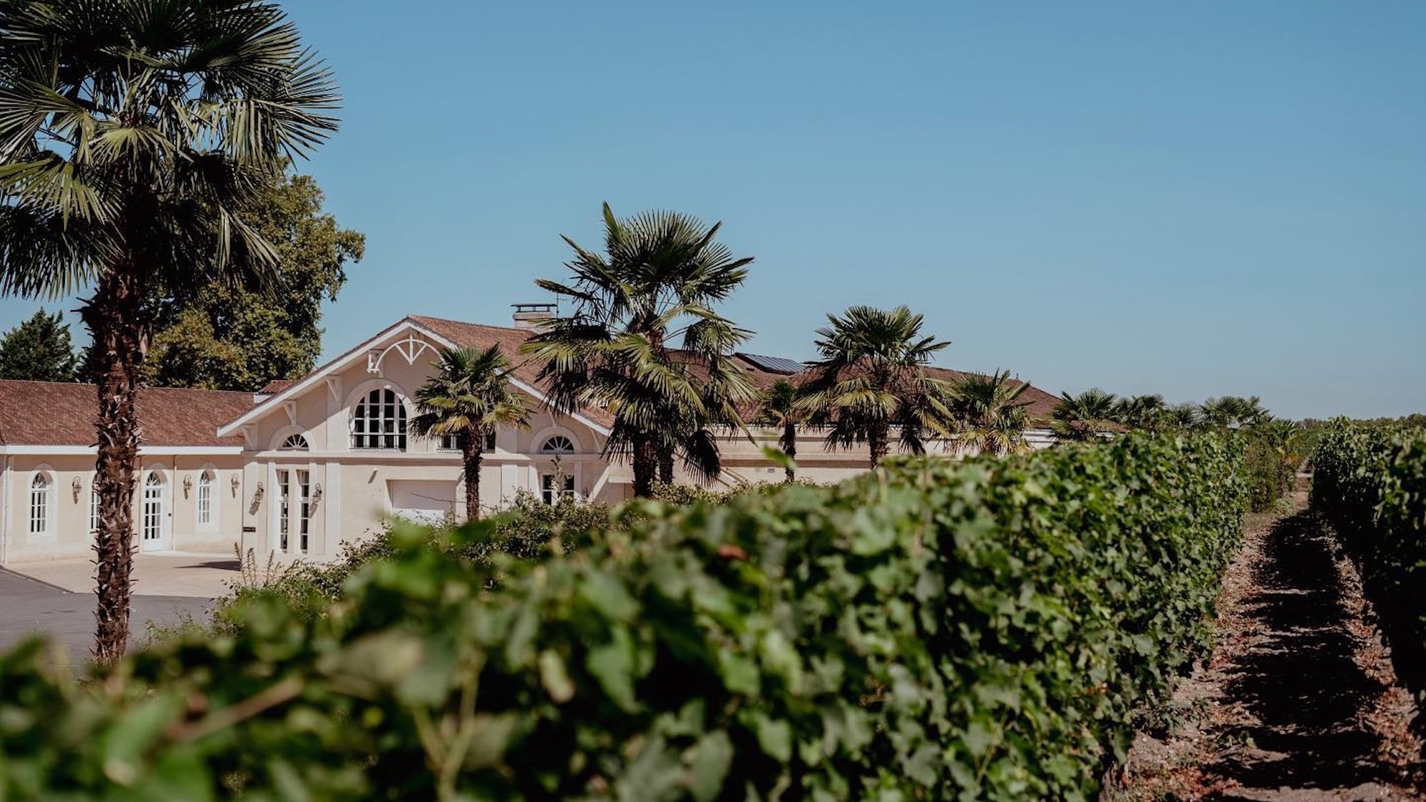 chateau-larrivet-haut-brion