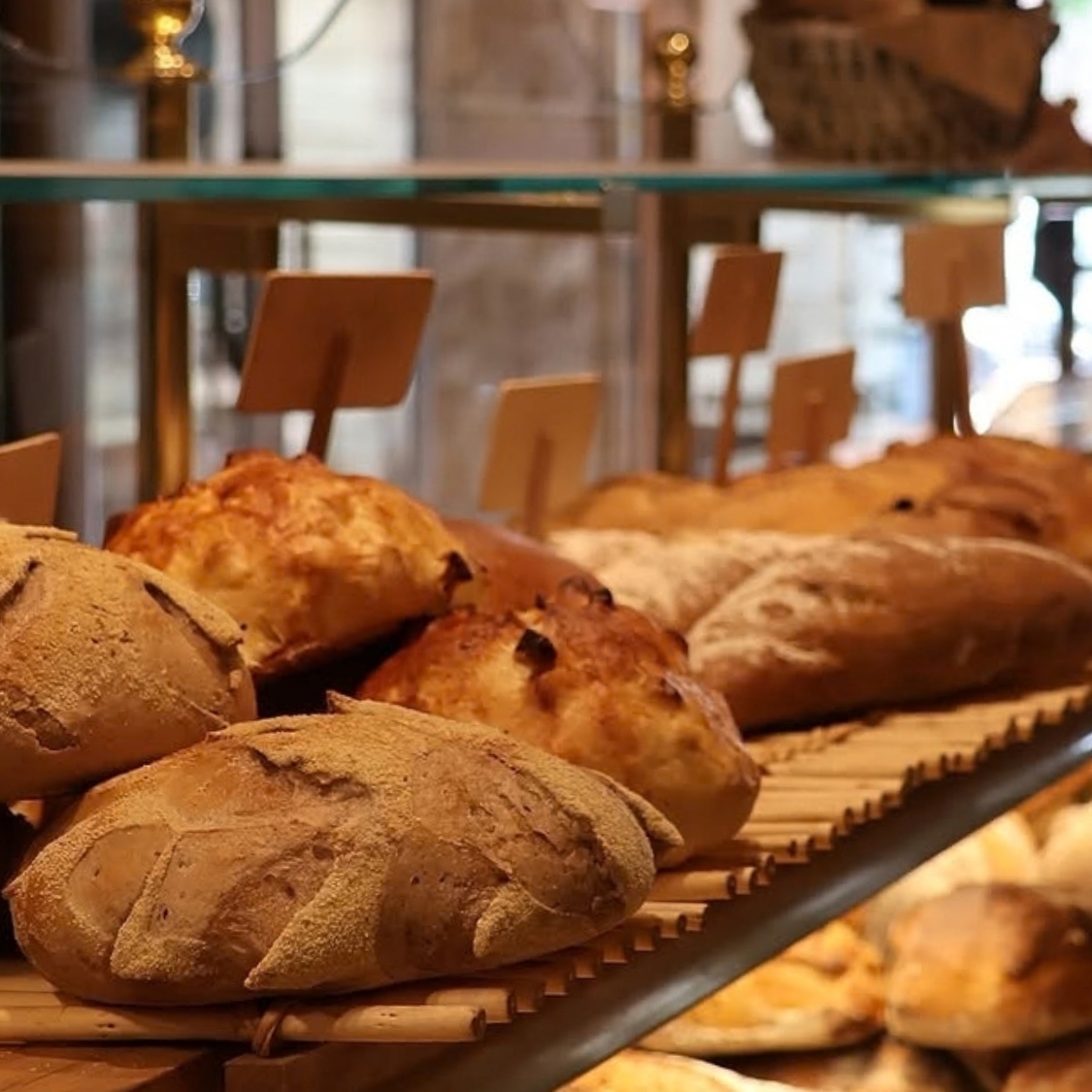 maison-fre-mont