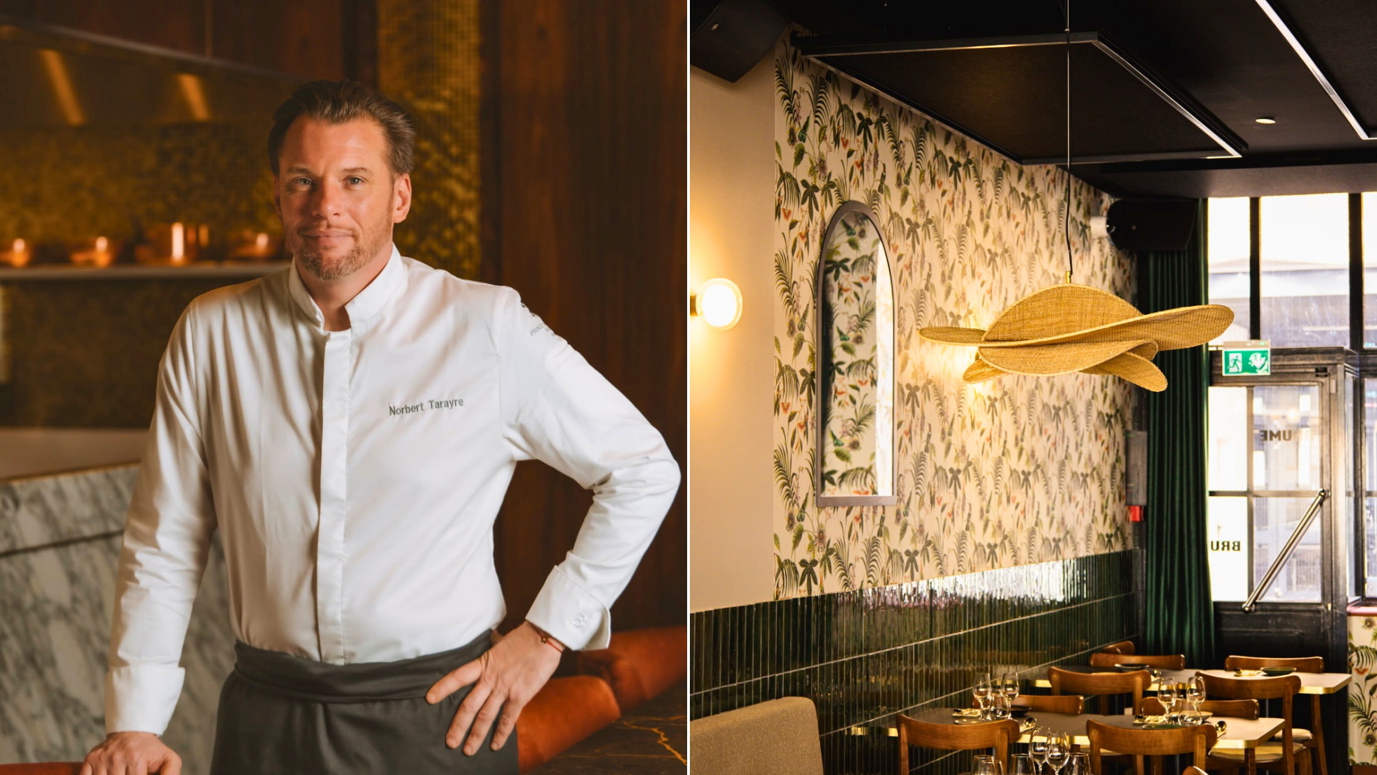 chef-norbert-tarayre-lyon