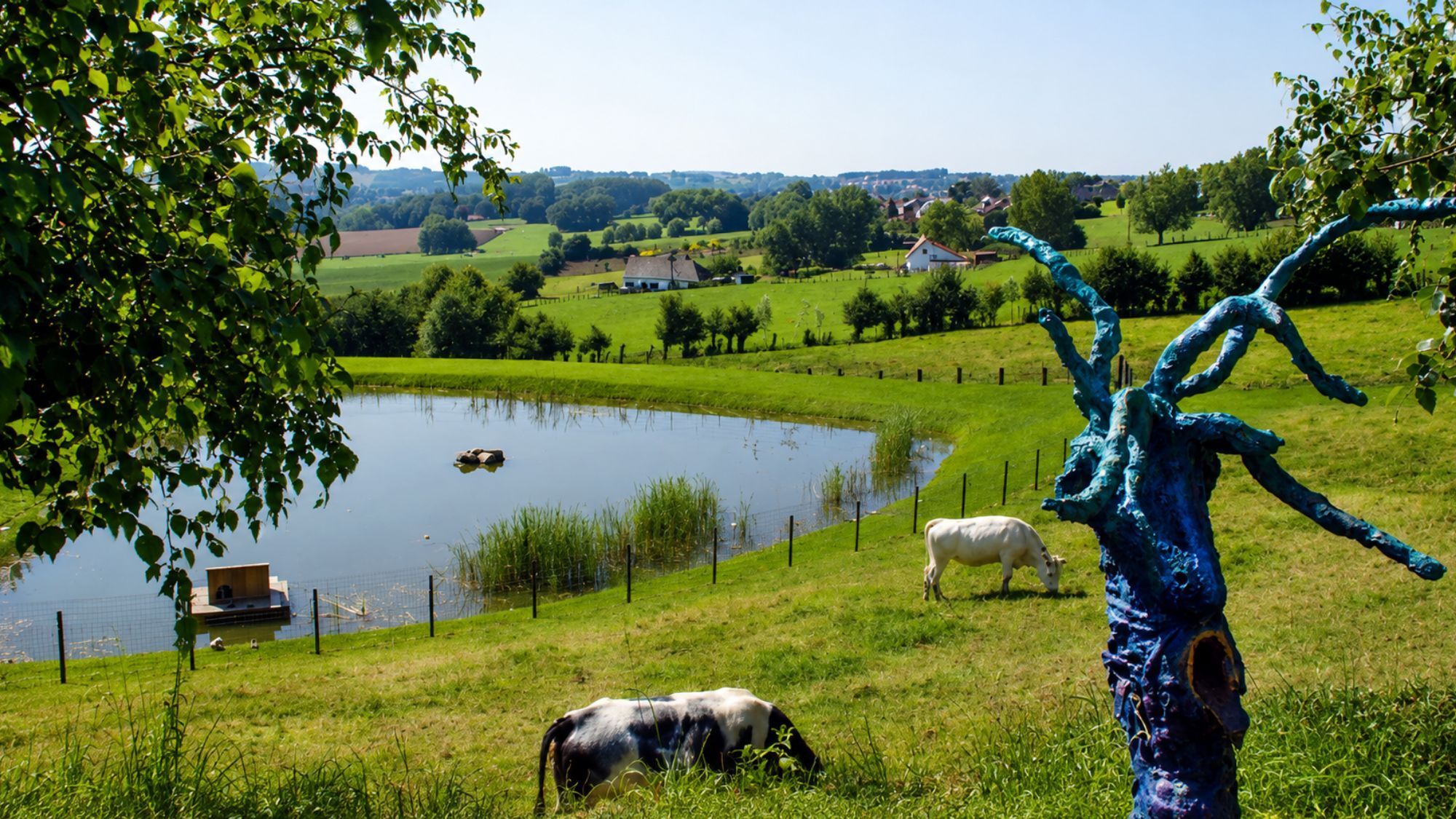champs-moutons-sentier-sculpturejpg