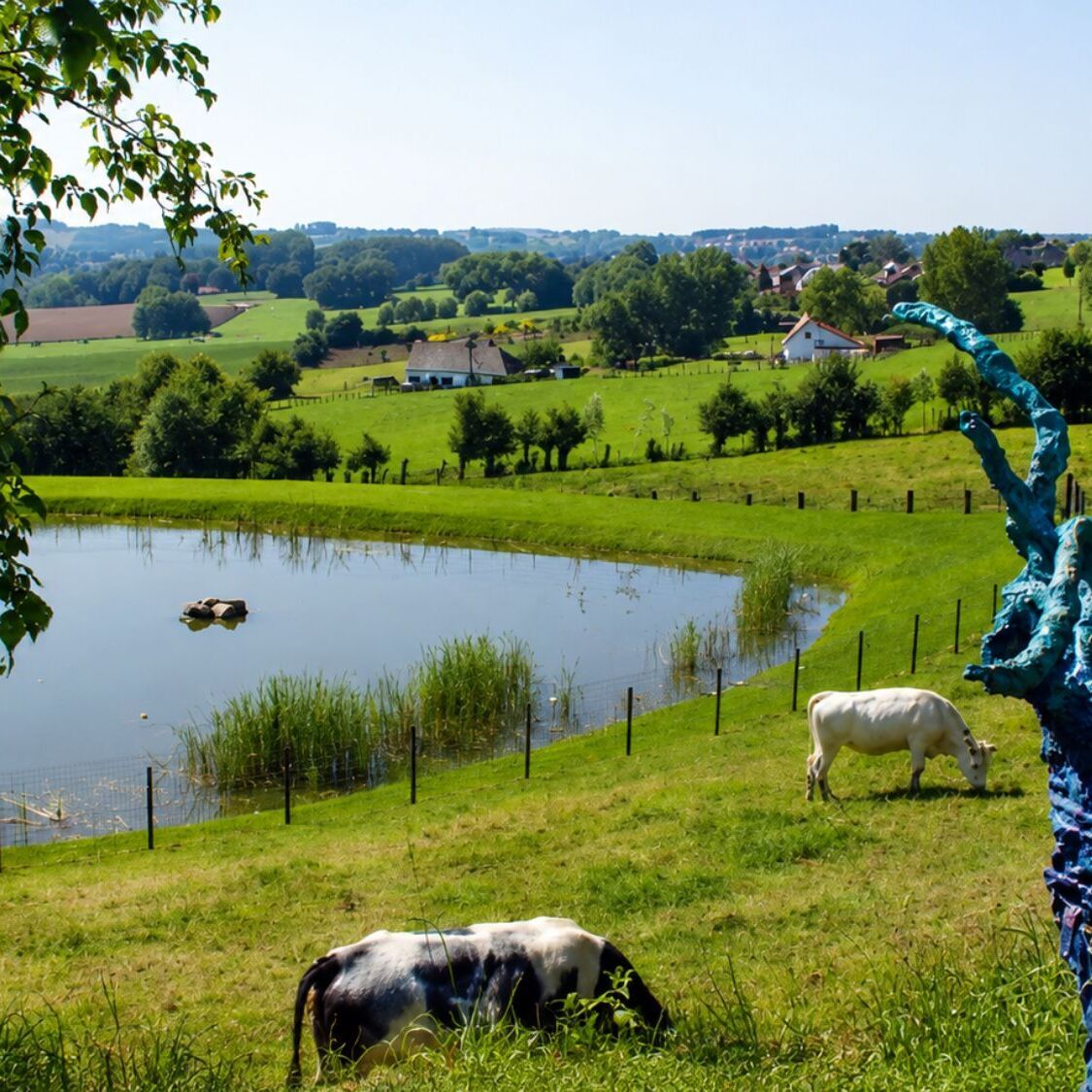 À 1h de Lille, cette balade gratuite traverse une forêt peuplée de sorcières et de créatures étranges champs-moutons-sentier-sculpturejpg