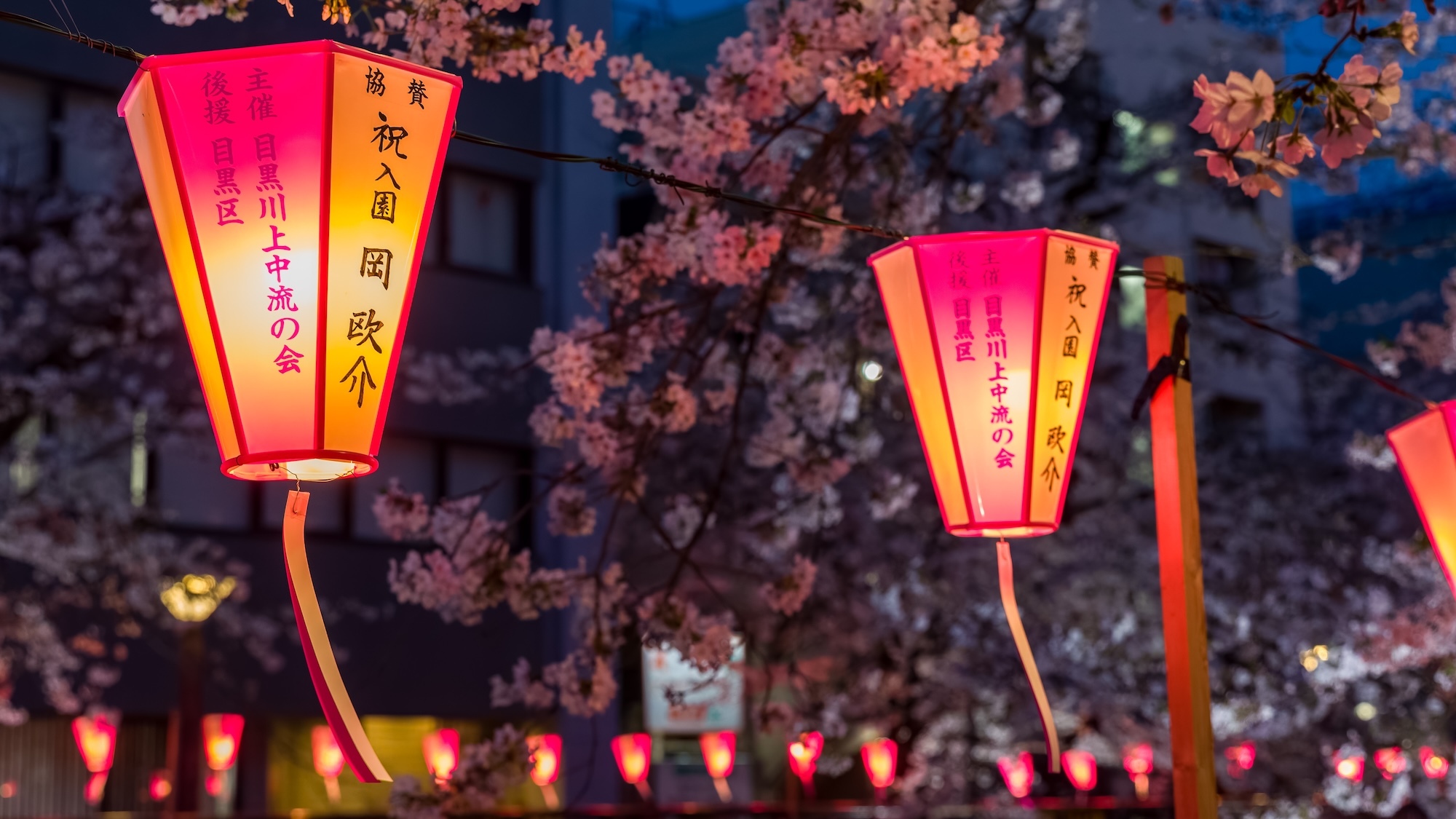 Cosplay, gaming, concerts… Le plus grand festival dédié à la culture japonaise s'invite à Bordeaux festival-japon-bordeaux