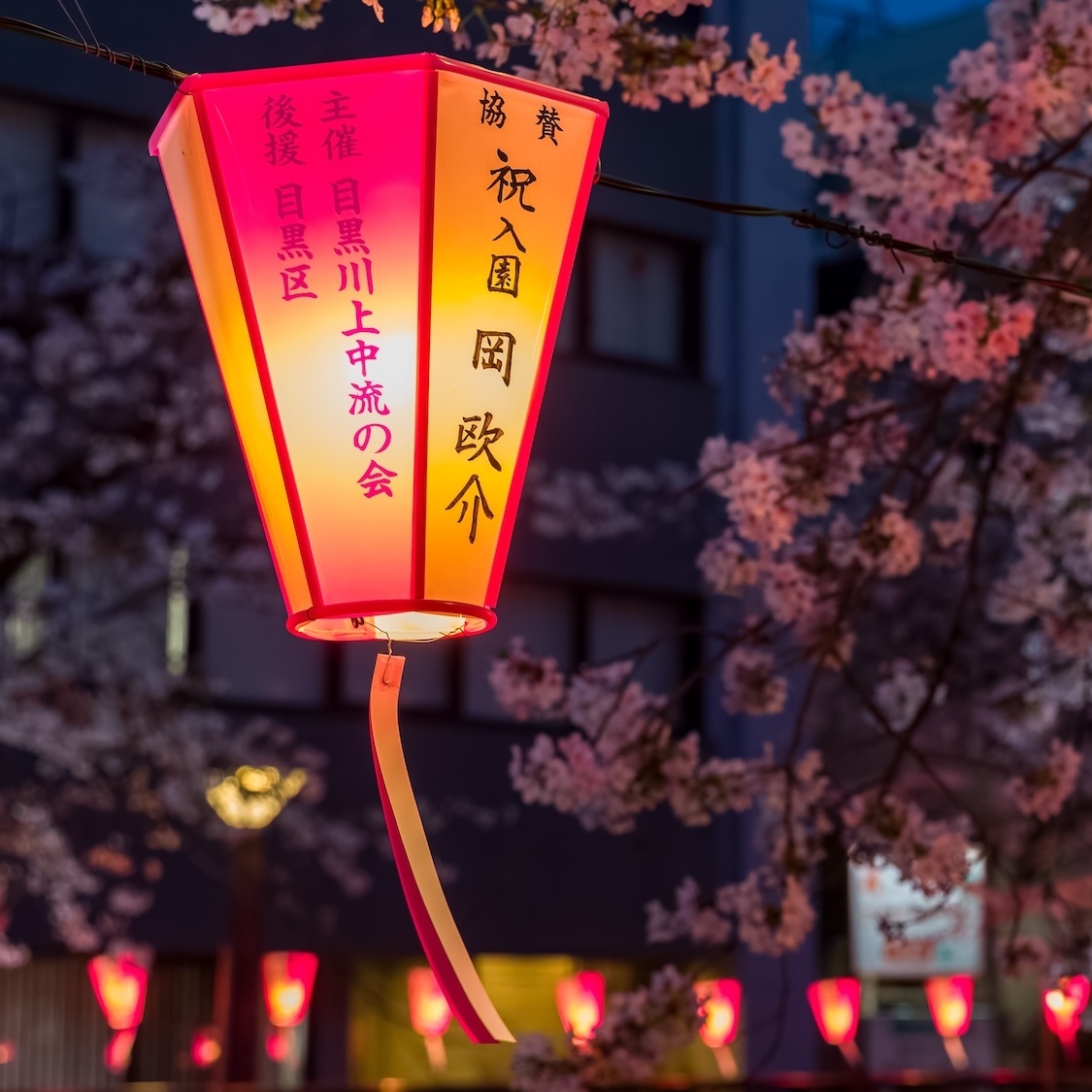 Cosplay, gaming, concerts… Le plus grand festival dédié à la culture japonaise s'invite à Bordeaux festival-japon-bordeaux