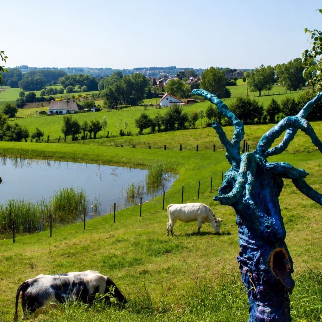 champs-moutons-sentier-sculpturejpg-2-2000
