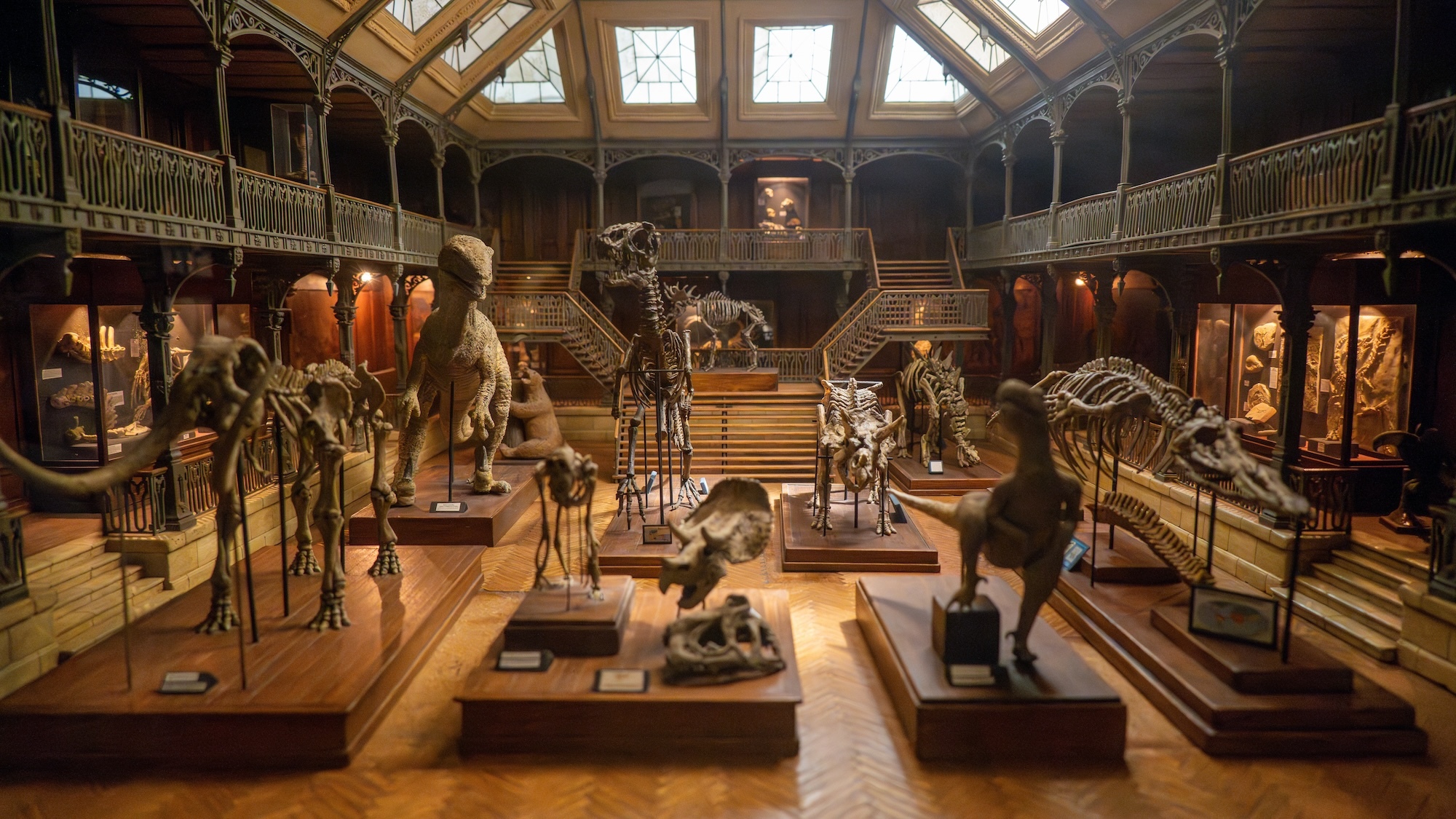 jep-tous-musees-lyon-gratuits-week-end