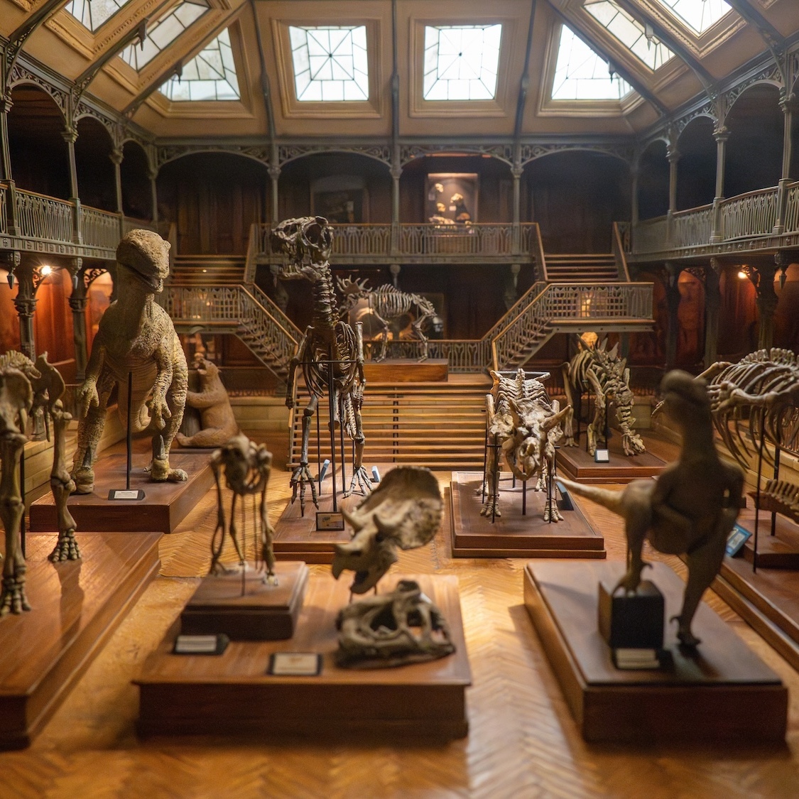 jep-tous-musees-lyon-gratuits-week-end