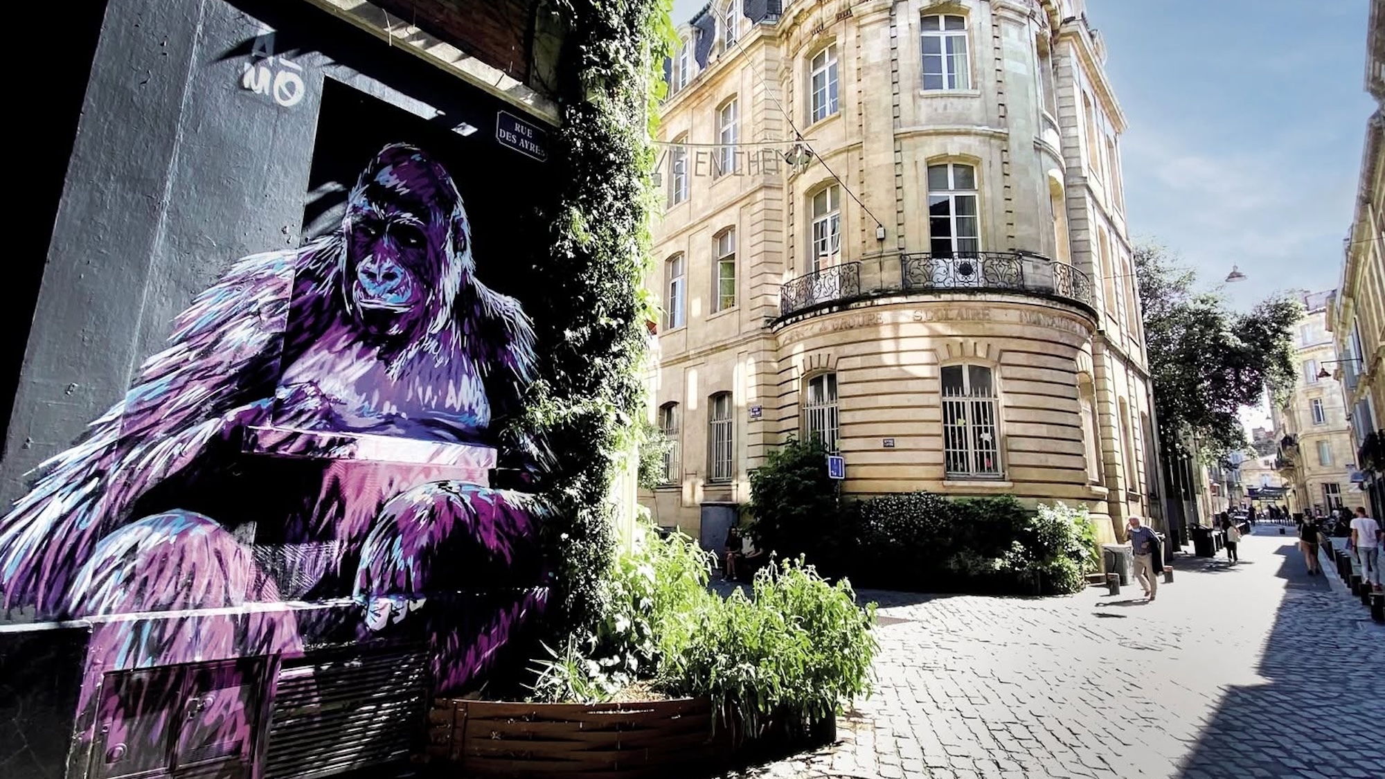 amo-bordeaux