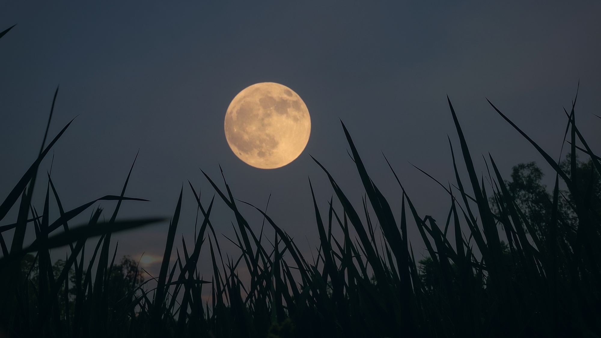 pleine-lune-des-moissons