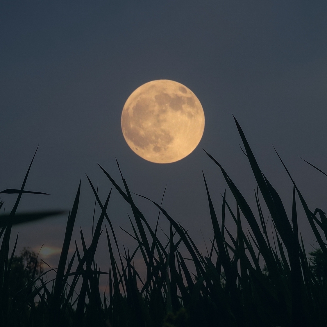pleine-lune-des-moissons