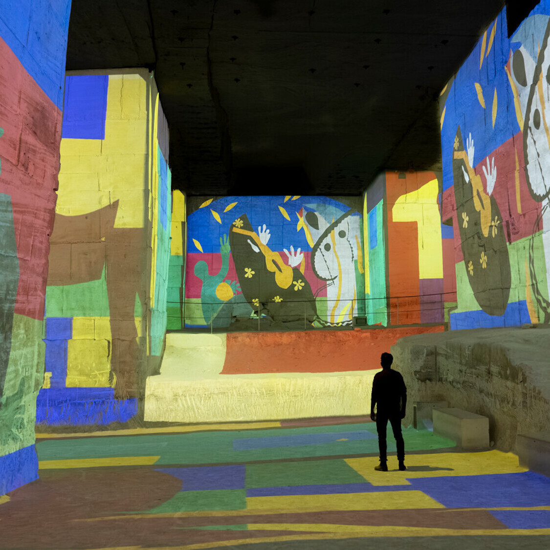 matisse-la-symphonie-des-couleurs-culturespaces-vi