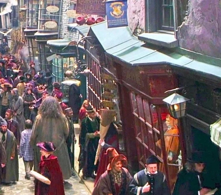 marche-petit-sorcier-harry-potter-grigny-lyon-2-12