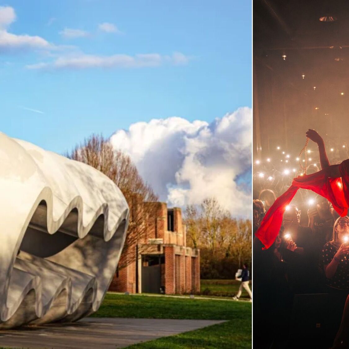 soiree-concert-batiment-ciel-herbe