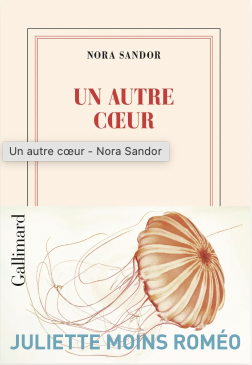 another-heart-nora-sandor-le-bonbon-paris-gallimard