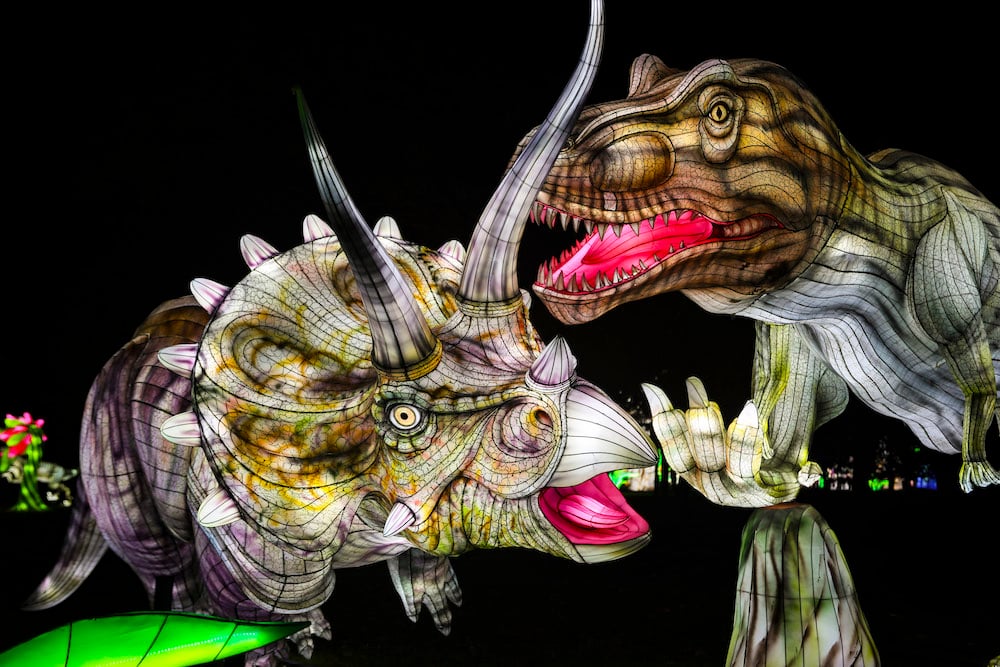 dinosaures-lanternes-noel-trex-triceratops-lumieres-lanternes-japonaises-plantes-feuilles-soir-jardin-dacclimatation-bal-des-dinosaures-le-bonbon-paris 1